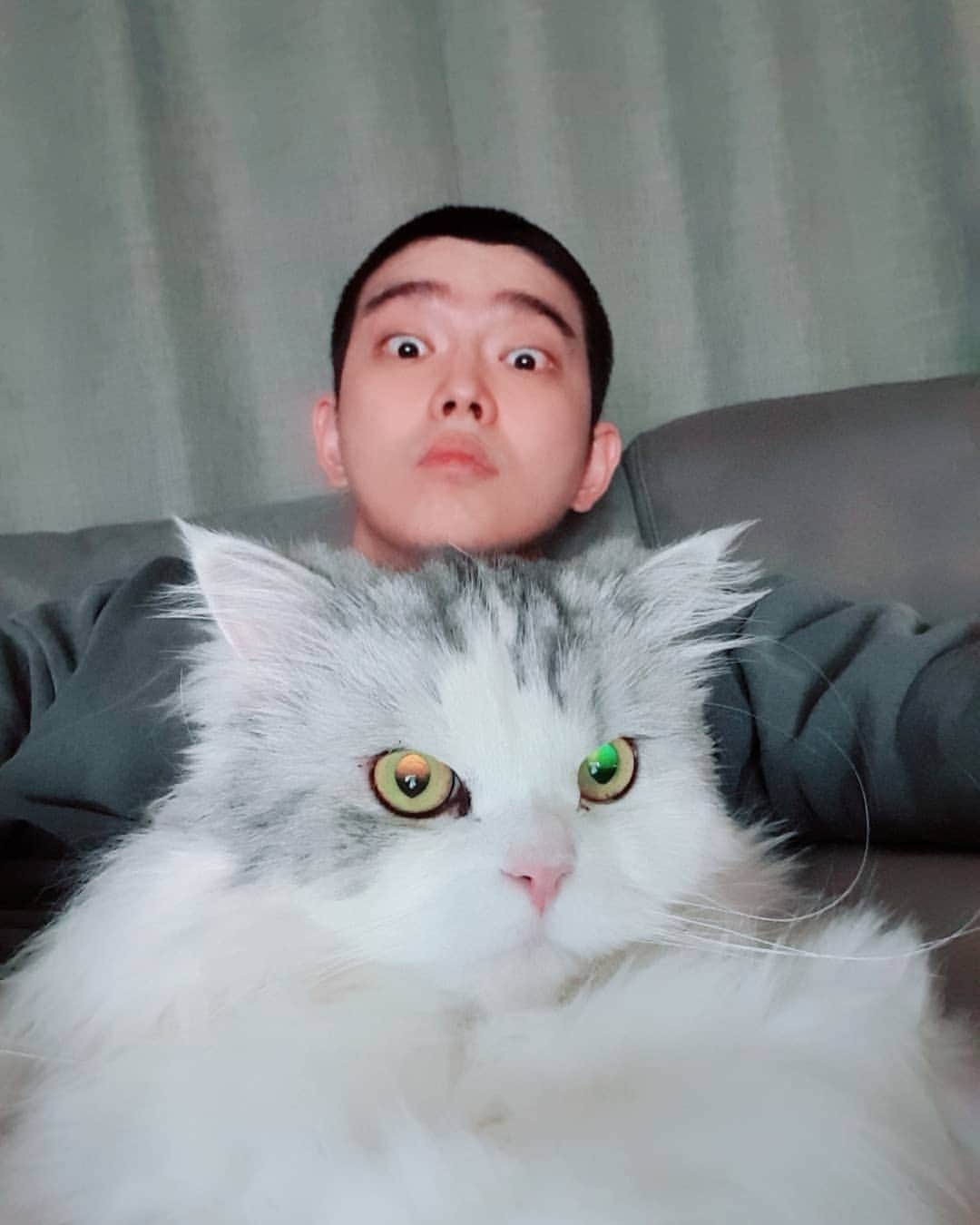 ユン・ギュンサンのインスタグラム：「#빡빡귱&쿵 윤지구 장남 윤빙하 신비주의 차가운도시냥이 아빤 머리가 차가워.」