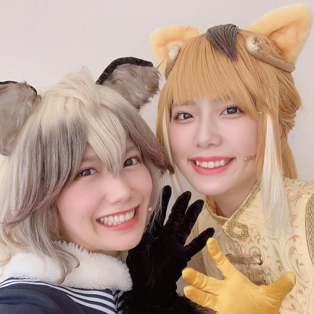 加藤里保菜さんのインスタグラム写真 加藤里保菜instagram 舞台 けものフレンズ 初日 タヌキのフレンズです 明日も二公演頑張ります けものフレンズ 舞台けもフレ タヌキ たぬき たぬポン たぬちょろりん キンシコウ キンちゃん あざとい フレンズ