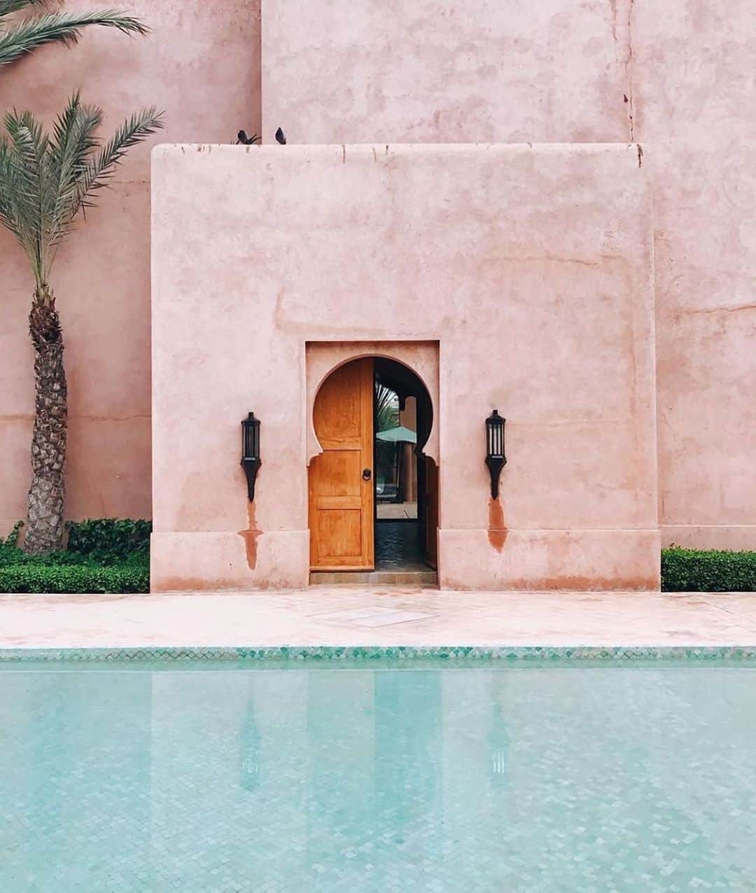 スターメラのインスタグラム：「If we could all be in #marrakesh」