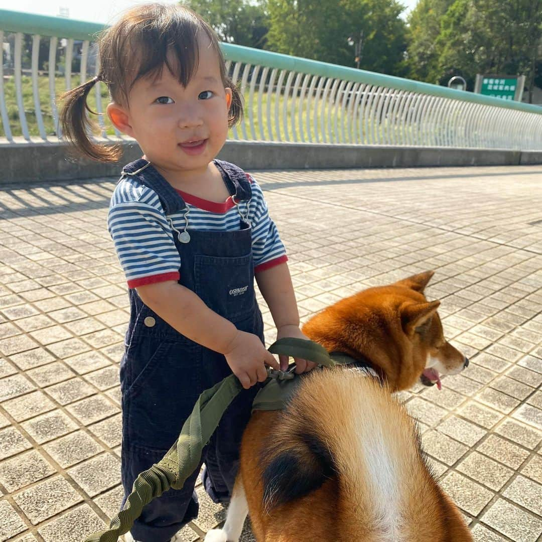 尾形貴弘さんのインスタグラム写真 - (尾形貴弘Instagram)「ミクサク ラブラブ特集  #柴犬大好き #柴犬マニア  #愛犬  #赤柴 #しばけん  #しばちゃん  #しばいぬ大好き  #shibainu  #shiba_snap  #犬ばか部  #いぬばか部 #ミク #三九 #39 #パンサー尾形 #赤ちゃん #赤ちゃんのいる暮らし #赤ちゃんと犬 #1歳6ヶ月 #1歳半 #サンキュー #ママリ #ベビフル」9月28日 19時29分 - miku3_miku_9