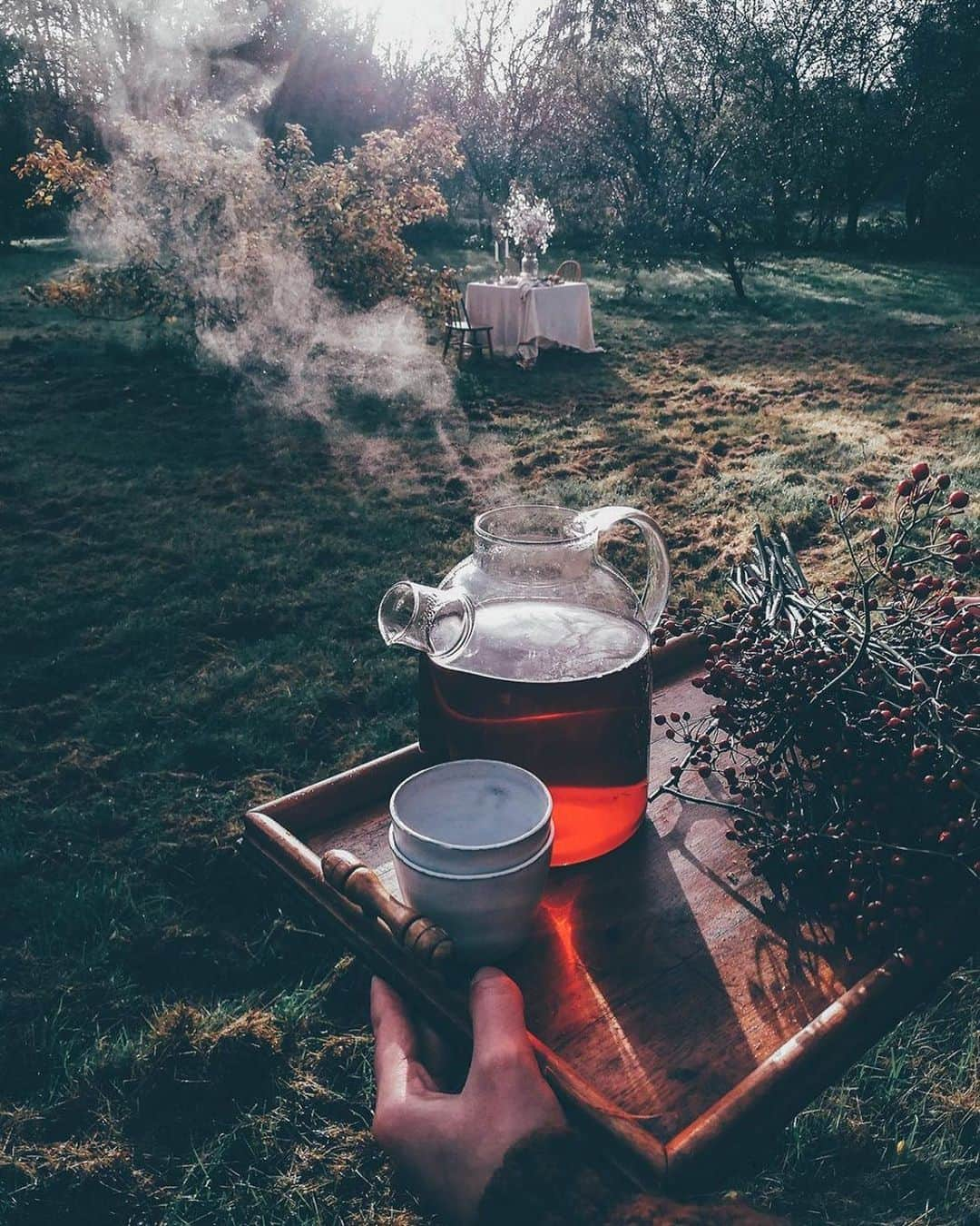 Our Food Storiesさんのインスタグラム写真 - (Our Food StoriesInstagram)「Absolutely love that autumn mood right now 🍁✨ Have a cozy weekend guys! #ourfoodstories  ____ #teatimes #fellowmag #countrysidelife #countrysideliving #countrysidegarden #autumnmood #autumnvibes #momentslikethese #morningslikethese #simplejoys #foodphotographer #outdoorcooking #germanfoodblogger」9月28日 19時36分 - _foodstories_