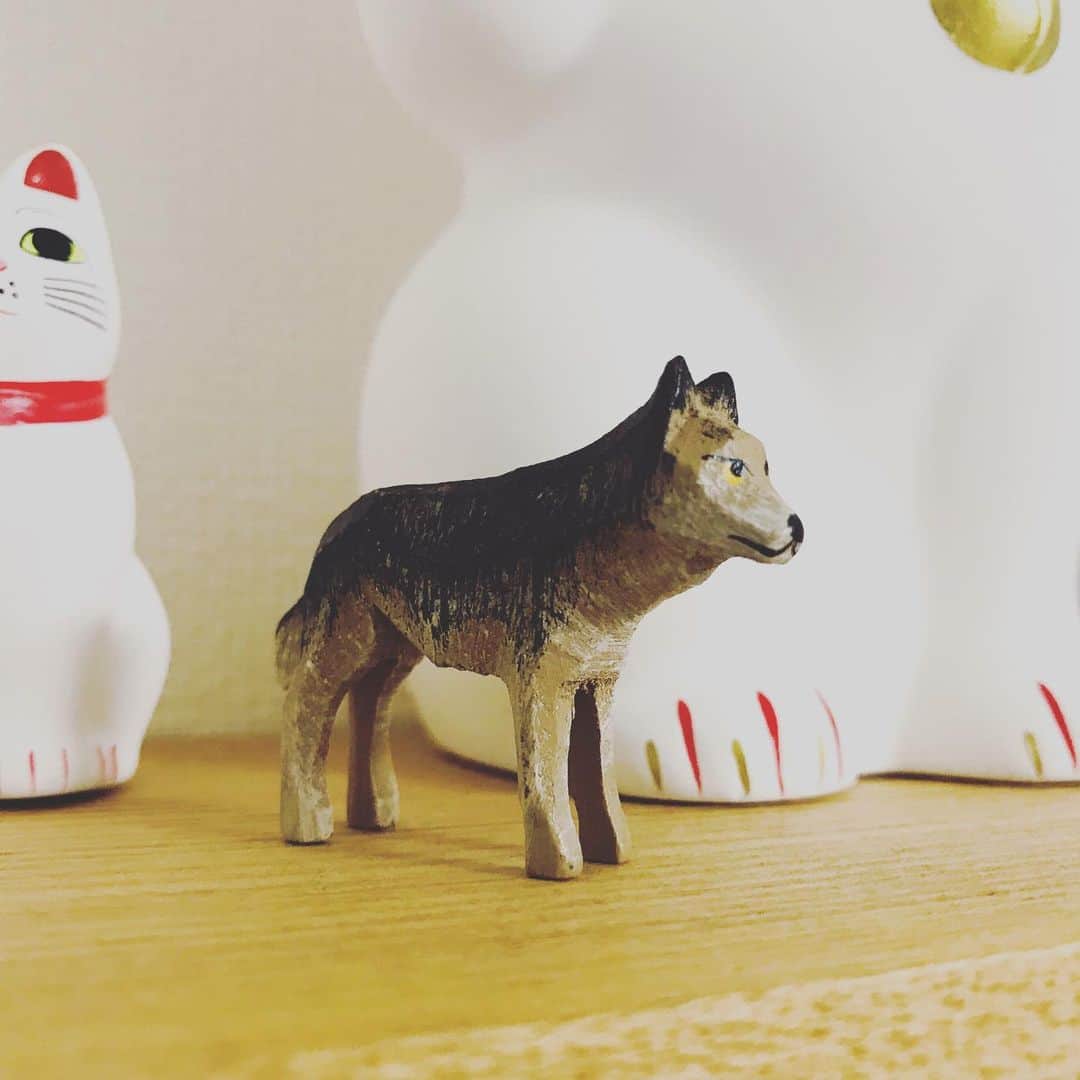 緒月遠麻さんのインスタグラム写真 - (緒月遠麻Instagram)「☺︎ 地味に 1体ずつ我が家に増えます。笑 今回は オオカミ。 いい顔してるわ☺️ ✨ #ニキティキ #木のぬくもり 次は パンダ🐼♡」9月28日 11時37分 - toma_ozuki