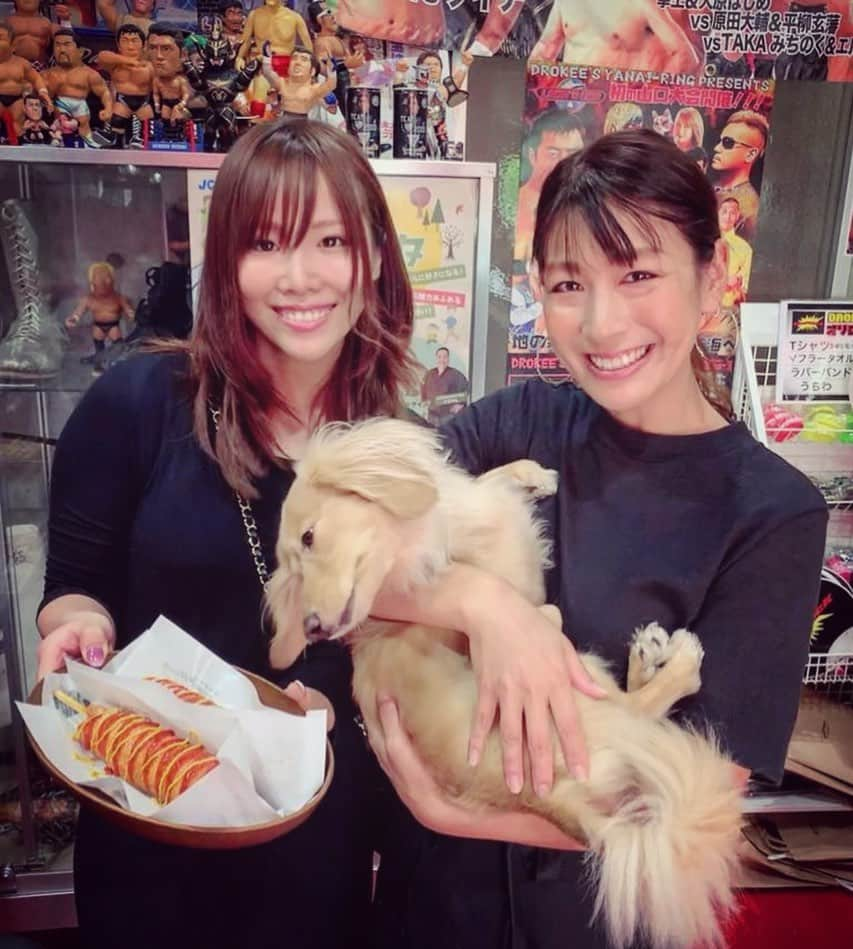 カイリ・セインさんのインスタグラム写真 - (カイリ・セインInstagram)「Cheese...🐶😹❤️💕 #再びのワープ #チーズのご馳走を狙う目w #チーズハッドグ美味しいなぁ」9月28日 12時24分 - official_kairi