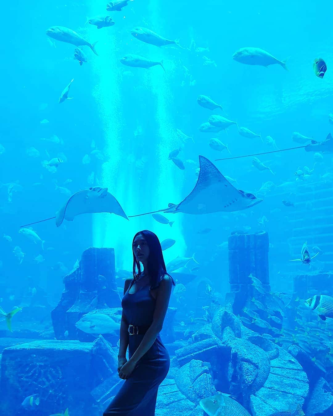 クララさんのインスタグラム写真 - (クララInstagram)「Breathtaking♡ #underthesea #mermaid #fairytail #love #bluesea #happiness #aquarium #claraindubai」9月28日 12時32分 - actressclara