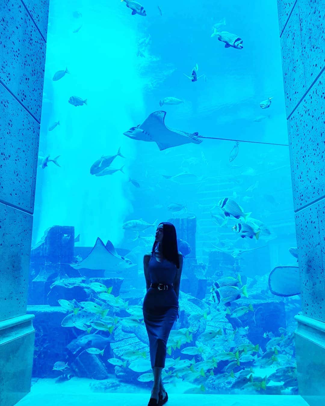 クララさんのインスタグラム写真 - (クララInstagram)「Breathtaking♡ #underthesea #mermaid #fairytail #love #bluesea #happiness #aquarium #claraindubai」9月28日 12時32分 - actressclara