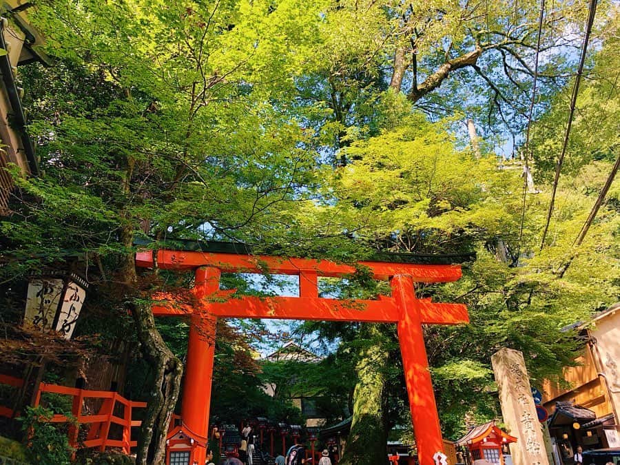 rittann48さんのインスタグラム写真 - (rittann48Instagram)「. . .  Shrine of Kyoto ㅤㅤㅤㅤㅤㅤㅤㅤㅤㅤㅤㅤㅤ ㅤㅤㅤㅤㅤㅤㅤㅤㅤㅤㅤㅤㅤ 初めて行った貴船神社 令和元年から急に御朱印集め始めました ㅤㅤㅤㅤㅤㅤㅤㅤㅤㅤㅤㅤㅤ 旦那ちゃんと一緒に有名な水占みくじしてみた 結果は…2人とも普通www .ㅤㅤㅤㅤㅤㅤㅤㅤㅤㅤㅤㅤㅤ .ㅤㅤㅤㅤㅤㅤㅤㅤㅤㅤㅤㅤㅤ .ㅤㅤㅤㅤㅤㅤㅤㅤㅤㅤㅤㅤㅤ #japan #kyoto #travel #kibune #shrine #travelphotography #instagramjapan #instapic #photooftheday #ファインダー越しの私の世界 #日本 #京都 #貴船神社 #水占い #御朱印」9月28日 12時33分 - rittann__8775