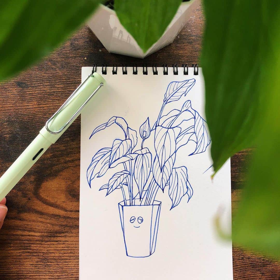 nanamyのインスタグラム：「Good start of lazy saturday sketch with my new friend LAMY fountain pen 💚🌱🌱 - #sketchbook #fountainpen #green #plant #drawing #sleepyface」