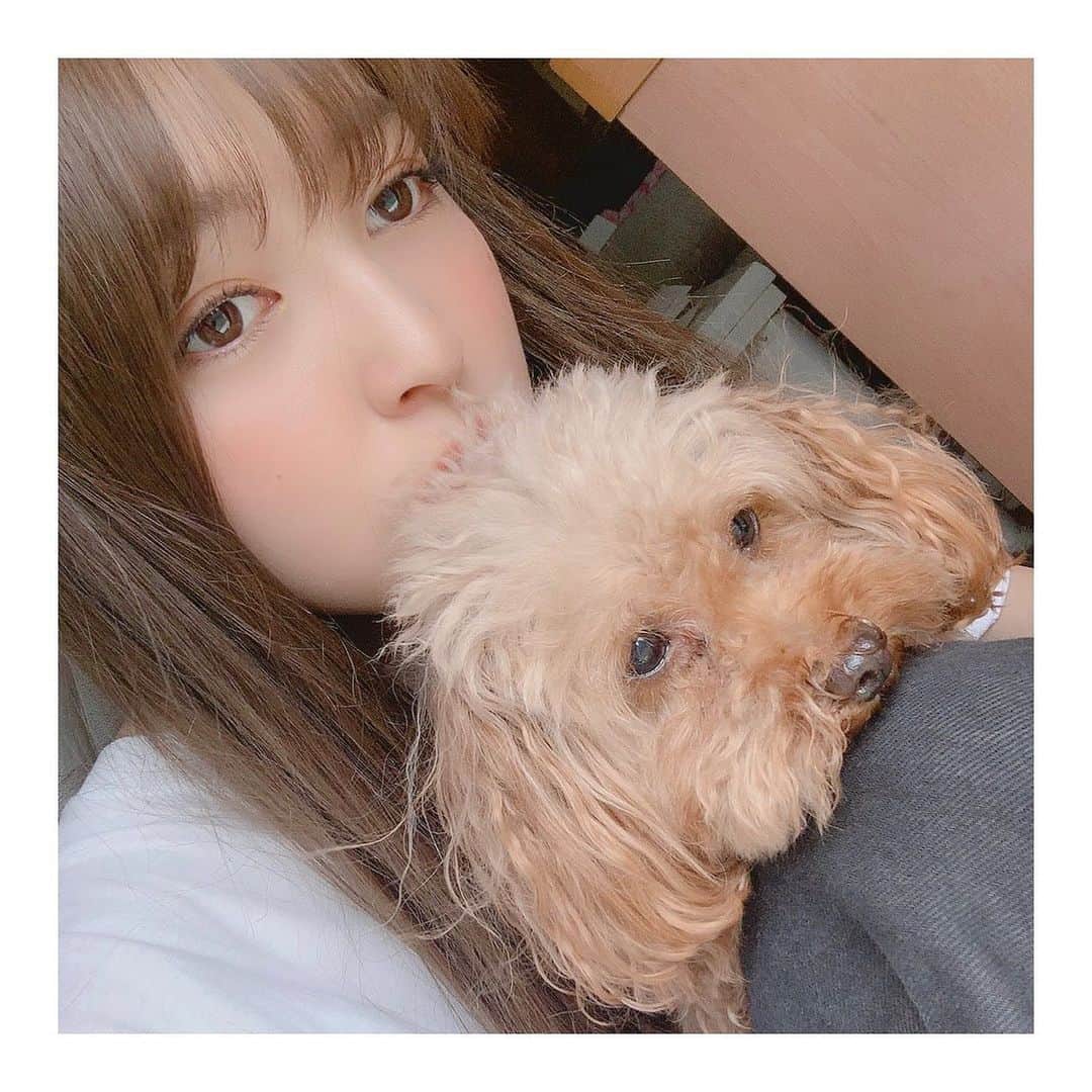 上西星来さんのインスタグラム写真 - (上西星来Instagram)「見つめる先が同じ😳 愛犬らいむくん😳🖤」9月28日 14時37分 - seira_jonishi_tpd