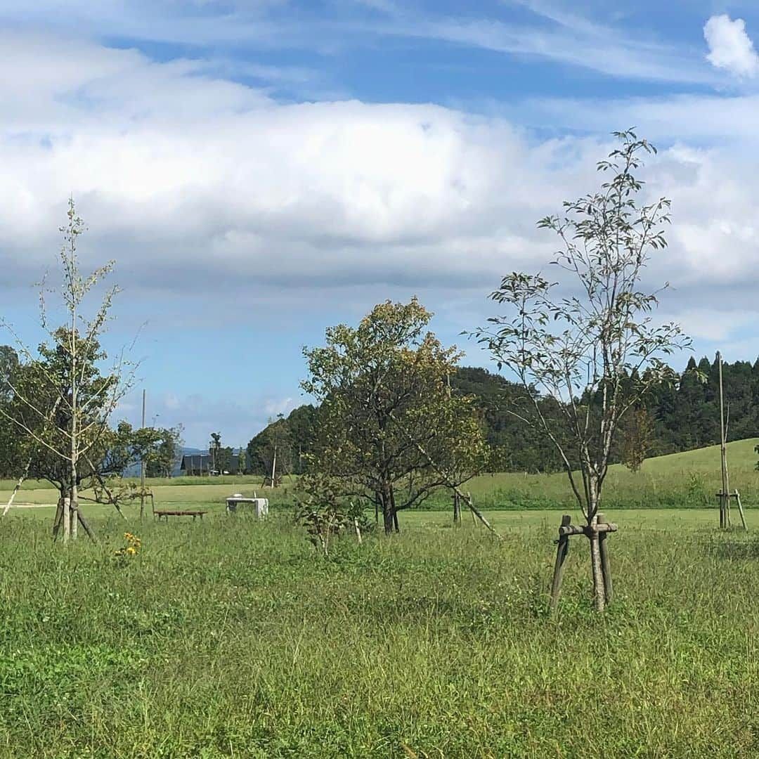 横山紗弓さんのインスタグラム写真 - (横山紗弓Instagram)「ㅤㅤ ボランティア部(高校)時代以来のボランティア活動🌳 ダム見学、草刈り、美味しいごはん とっても有意義な1日になりました☺︎ 筑後川ってこんなとこまで関わってるのね。 ここで【告知】 元々、観光柳川キャンペーンレディとして 参加させていただいてた #筑後川めぐみフェスティバル  今年はなんと！応援リポーターとして会場に出没します🎤 10月19日(土)、10月20日(日)の2日間、 @福岡市役所前ふれあい広場 ぜひぜひ遊びにきてね〜！ #ひと山まるごとガーデニング」9月28日 16時21分 - 1129sym