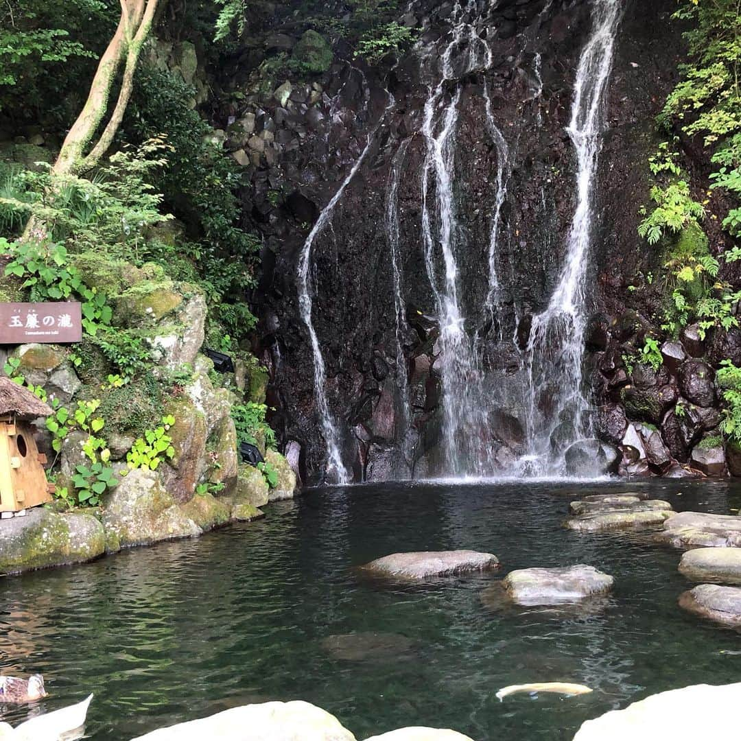 松間雄亮さんのインスタグラム写真 - (松間雄亮Instagram)「先日、コマンダンテ安田兄にザップレの石井さんと、日帰り箱根温泉旅行に連れて行って頂きました。 関東にもこんな素晴らしい場所があるんだと、感動しました。コンクリートジャングルから抜け出し、癒しの場所でたわいもない話をするだけの素敵な時間でございました。感謝。  #箱根 #箱根温泉 #コマンダンテ安田 さん #ザプレジデント石井 さん #ジュゴン松間  #幸せ #安田の兄貴はいつも安らぎを与えてくれる #安田だけに #は？ #アブネスチャン #は？」9月28日 17時50分 - yusuke01418931