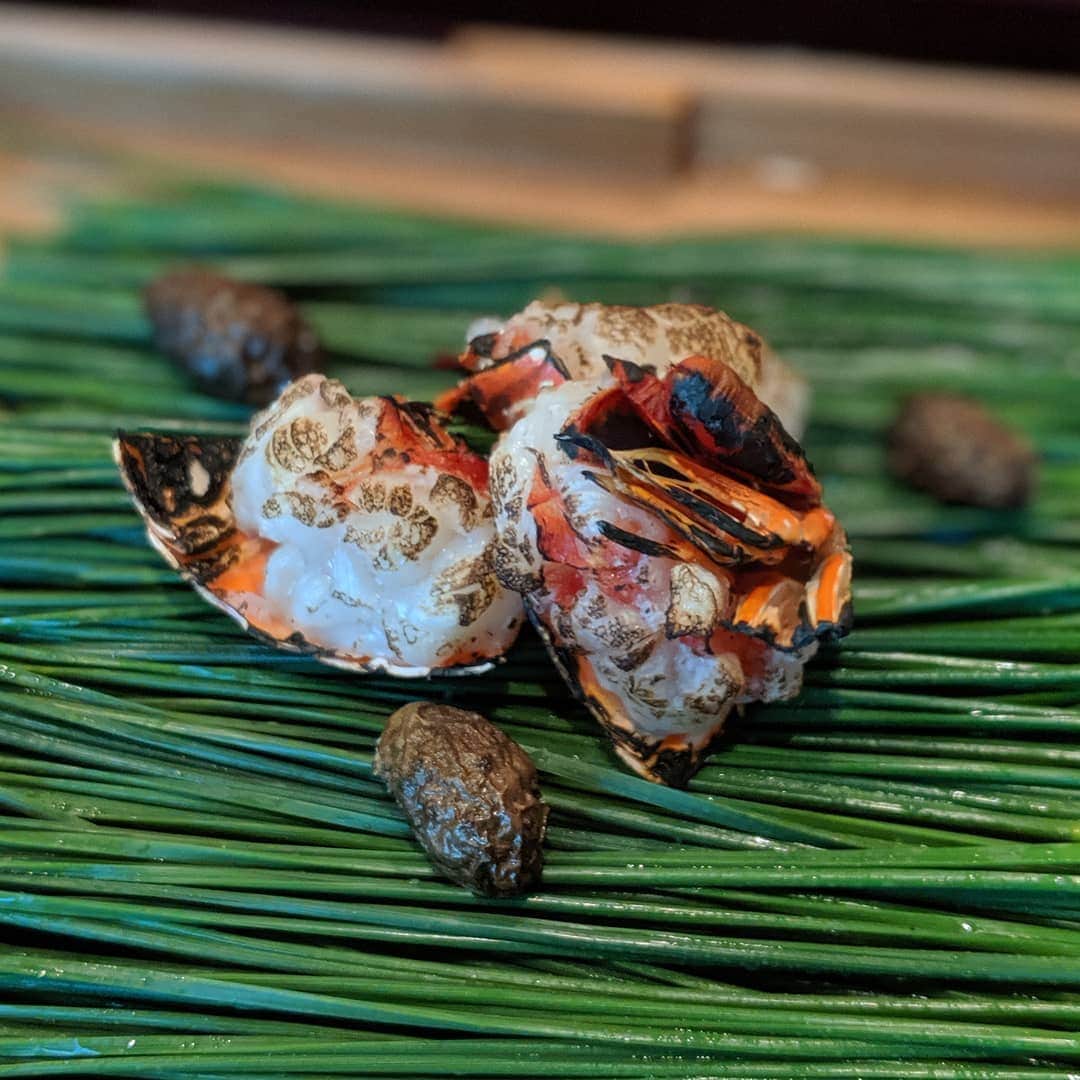 Masayasu Moritaのグルメインスタ