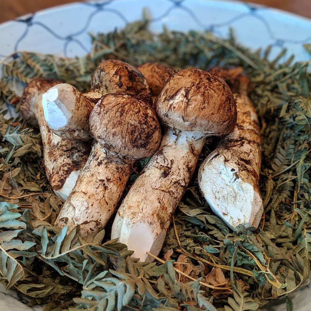 Masayasu Moritaのグルメインスタ