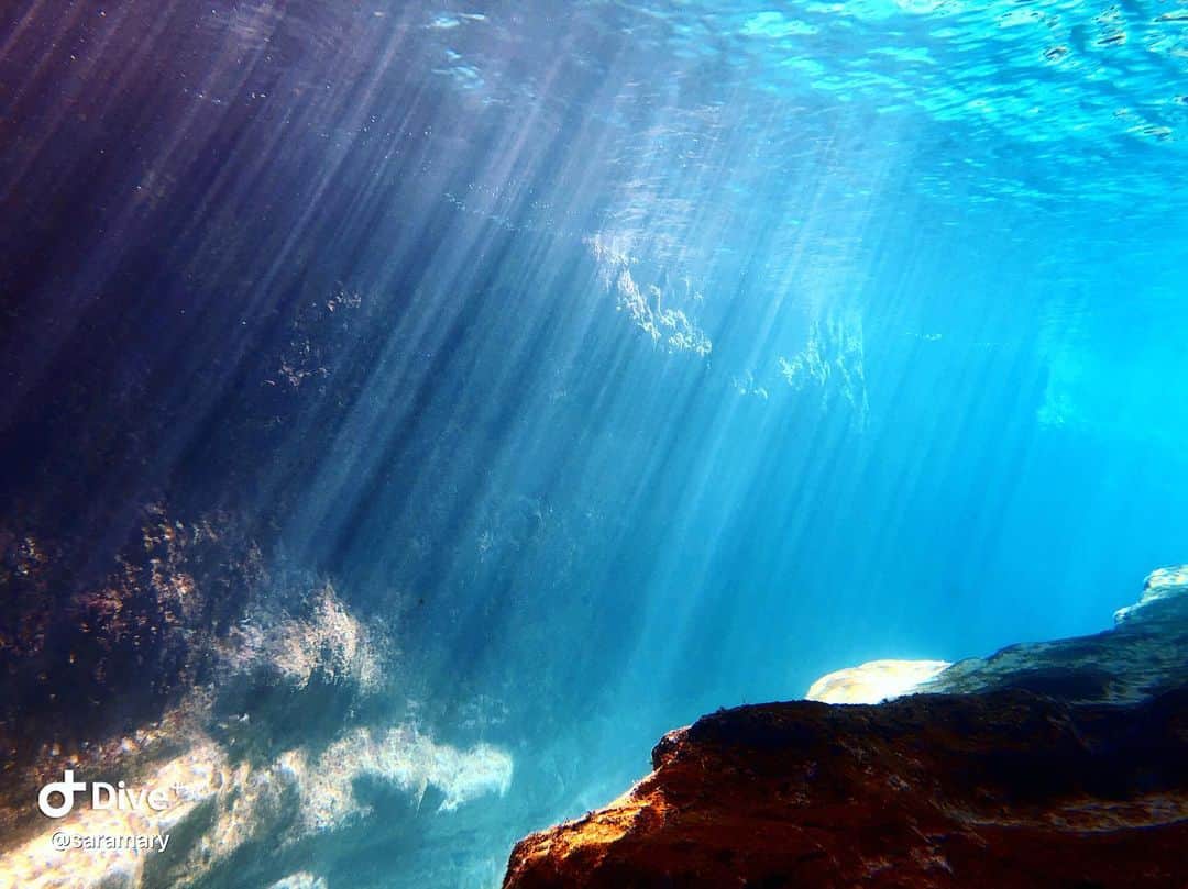 紗羅マリーさんのインスタグラム写真 - (紗羅マリーInstagram)「水中 洞窟の中 これが皆んなの住んでる地球🌏」9月28日 21時10分 - saramary12