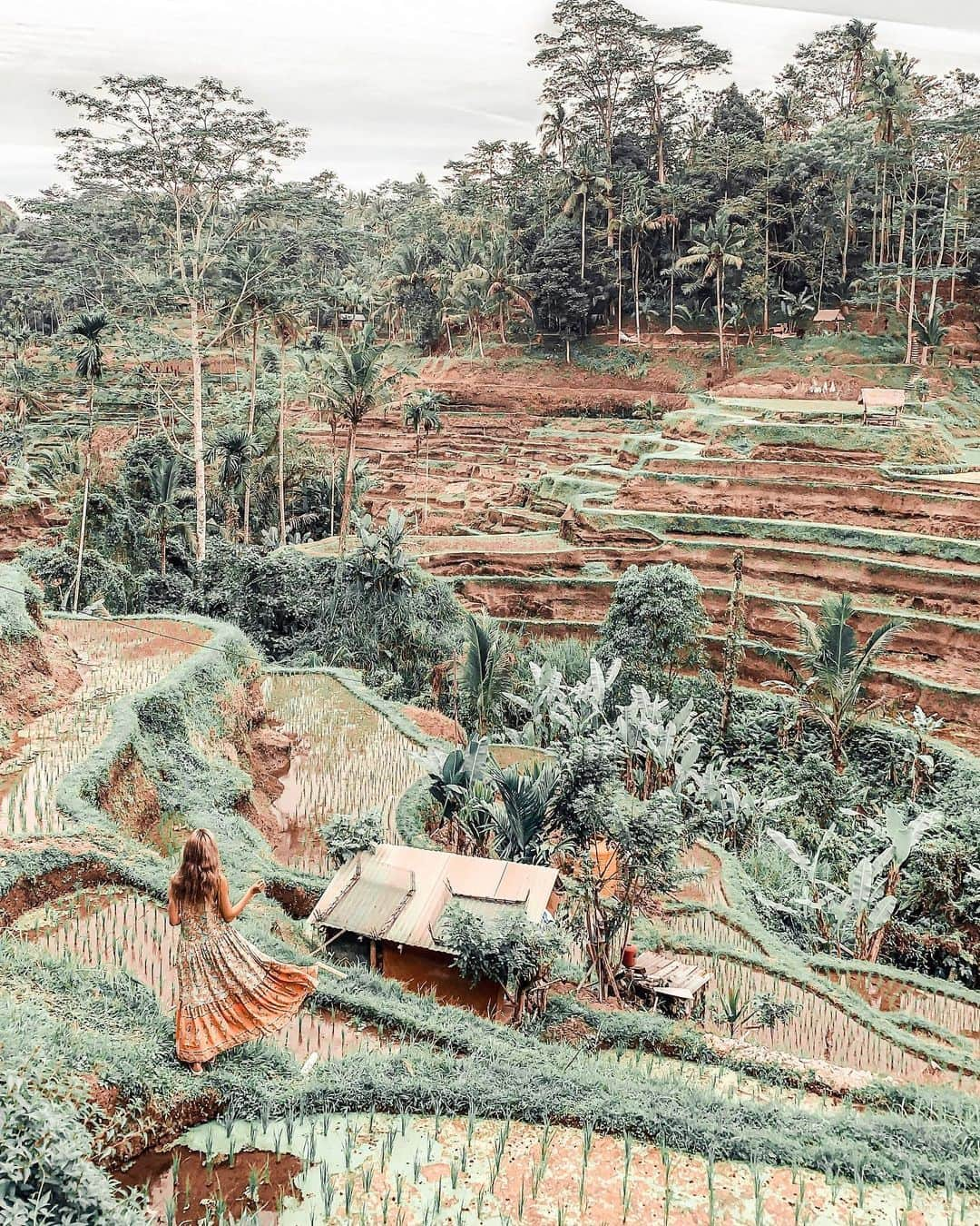 RUI ONUMAさんのインスタグラム写真 - (RUI ONUMAInstagram)「ㅤㅤㅤㅤㅤㅤㅤㅤㅤㅤㅤㅤㅤ Rice Terrace🍃🦖🦚☘️ㅤㅤㅤㅤㅤㅤㅤㅤㅤㅤㅤㅤㅤ バリといったら！って緑の景色！ まだちょっと緑が足りなかったけど笑 ㅤㅤㅤㅤㅤㅤㅤㅤㅤㅤㅤㅤㅤ 棚田が綺麗〜！💚 @bali_gaido_jun に案内してもらったよ✌🏽 ㅤㅤㅤㅤㅤㅤㅤㅤㅤㅤㅤㅤㅤ ワンピは @shop_mirage の！ オレンジ色可愛い〜♡ ㅤㅤㅤㅤㅤㅤㅤㅤㅤㅤㅤㅤㅤ ――――――――――――― ㅤㅤㅤㅤㅤㅤㅤㅤㅤㅤㅤㅤㅤ 🗺 #バリ #bali  #ウブド #ubud ㅤㅤㅤㅤㅤㅤㅤㅤㅤㅤㅤㅤㅤ 📍#riceterrasse  #ライステラス  ㅤㅤㅤㅤㅤㅤㅤㅤㅤㅤㅤㅤㅤ ――――――――――――― ㅤㅤㅤㅤㅤㅤㅤㅤㅤㅤㅤㅤㅤ #おーぬまんbali旅」9月28日 22時00分 - onumaaan