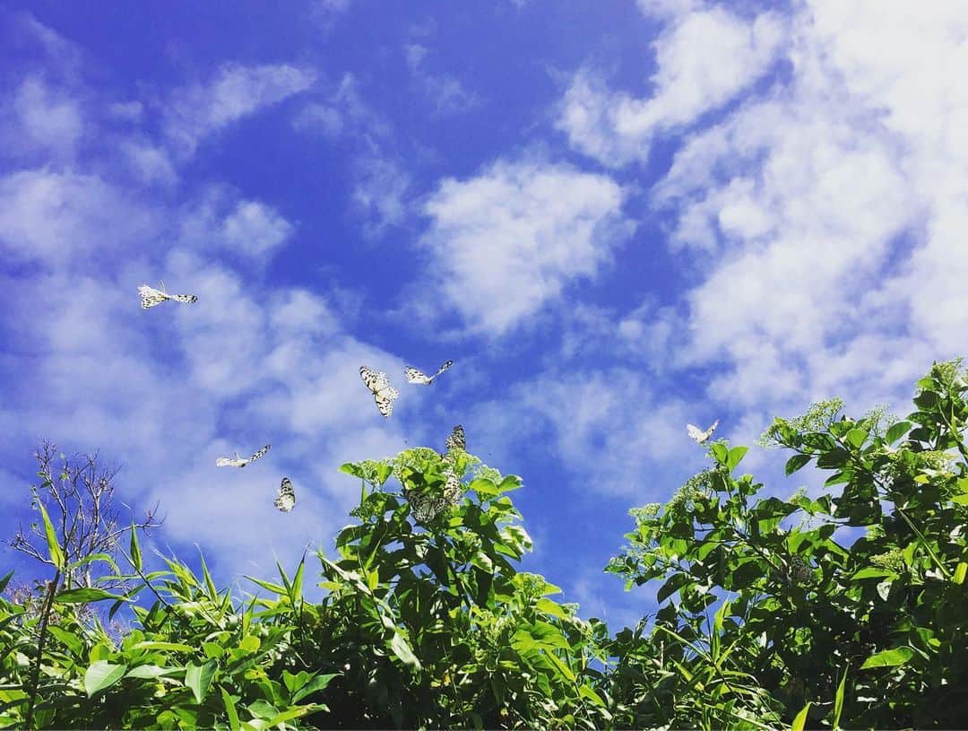 久保田夏菜さんのインスタグラム写真 - (久保田夏菜Instagram)「神の島。  ふたたび、夏。  夏、好き。  いい旅。  ありがとう。  #神の島 #久高島 #いい旅」9月28日 22時35分 - kanakubota0805