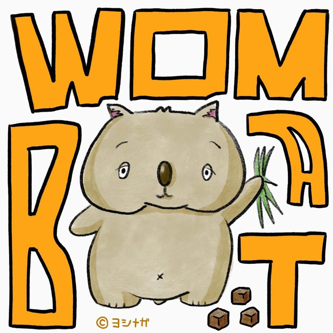  吉永龍樹のインスタグラム：「ウォンバットさん ・ ・ ・ #四角うんこ #wombats #wombat #ウォンバット #生き物 #creature #LINEスタンプ #僕秩 #ヨシナガ #dfnt #illustration #イラスト #いらすと #どうぶつ #kawaii #絵 #drawing #キャラクター#イラストレーター #いらすとぐらむ #イラストグラム #いらすと #japaneseillustrator #illust #illustration #illustrator #illustgram」