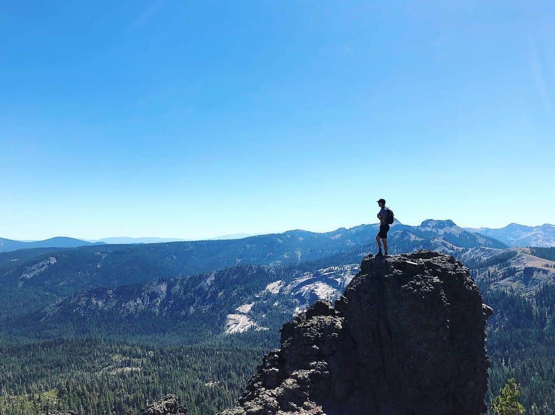 のインスタグラム：「Up above my allergies. 🐿」