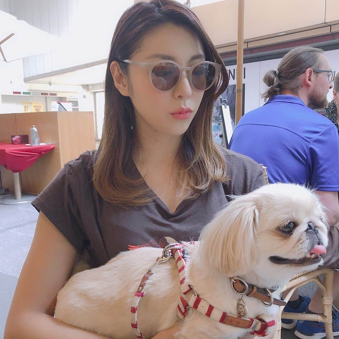 のインスタグラム：「きなことカフェ🐶  お気に入りのサングラス @tres.jewelry  #tresjewelry #pekingese #ペキニーズ#サングラス #favorite #sunglasses #cafe #coffee #表参道 #fitness #workout #이케다유리 #토쿄」