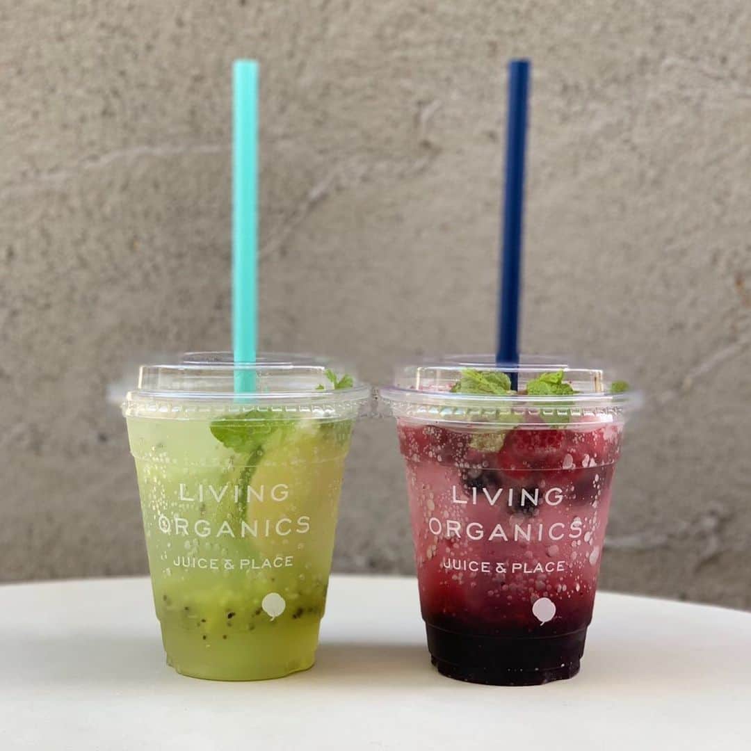 livingorganics juice&place 芦屋のインスタグラム：「. まだまだ暑い日が続きますね。 . 左）ライムキウイスプラシュ 右）ミックスベリースプラシュ . シュワシュワ炭酸とフルーツのスッキリ爽やかな味がクセになる季節限定商品。 . 火照った身体をクールダウンしてくれます。 今日も元気よく営業中です！ 是非！ご来店お待ちしております。 . #livingorganics#livingorganic#cafe#coldpressedjuice#healthyfood#coffee#arabicacoffee#foodphotography#smoothie#yoga#神戸カフェ#sweets#芦屋カフェ」