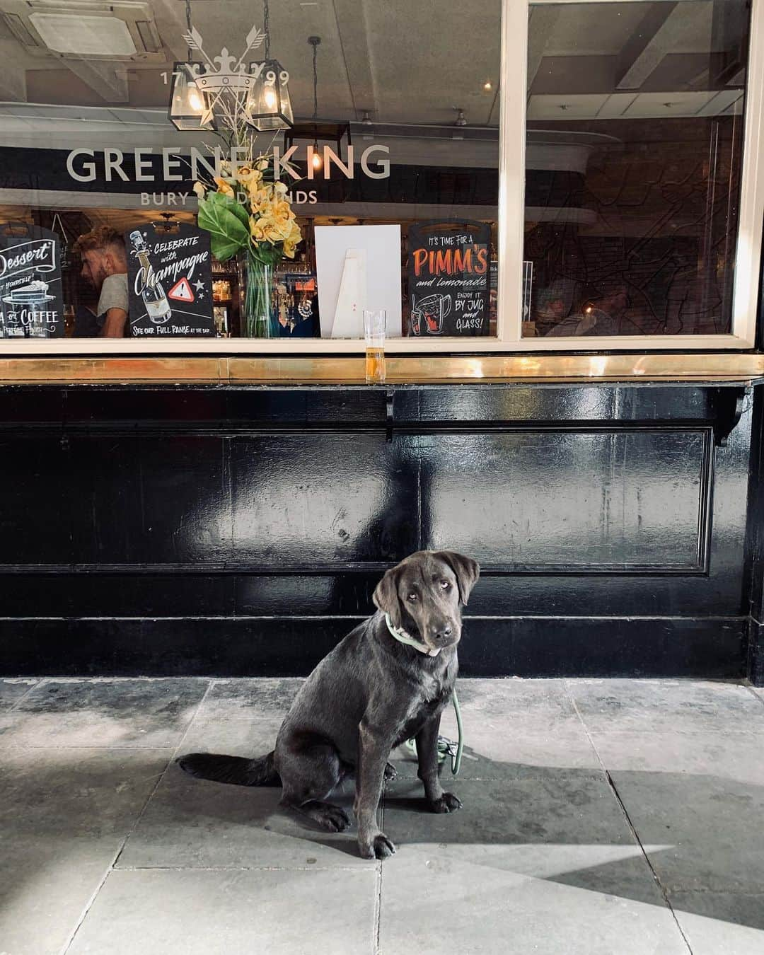 トム・フェルトンさんのインスタグラム写真 - (トム・フェルトンInstagram)「“To the Geese of Hyde Park, London. I’m sorry. For chasing you, swimming after you and trying to kill you” - Willow #notreally」9月5日 11時50分 - t22felton