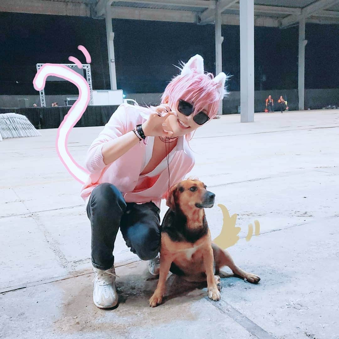 ひかりんのインスタグラム：「🐱Cat & doggo 🐶 There was this stray doggo in Costa Rica Kawaiicon that roamed the convention every year 💖 he was so sweet and took pictures with everyone I just wanna bring him home 😭」