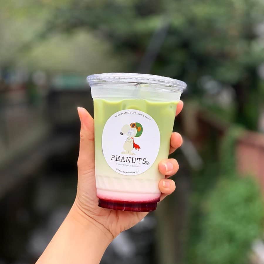 ピーナッツ カフェのグルメインスタ