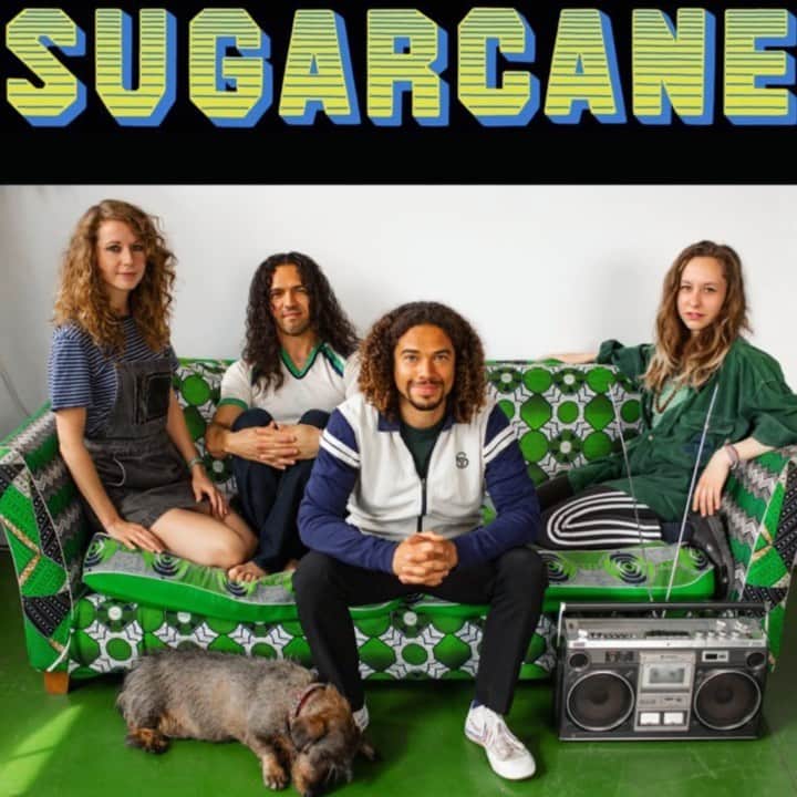 エド・ウィークスのインスタグラム：「My pals @sugarcaneband have another banger of a single out. Check out Sugarcane — “Shambala Mess” on Spotify. I love them and I LOVE YOU 🐶😘」