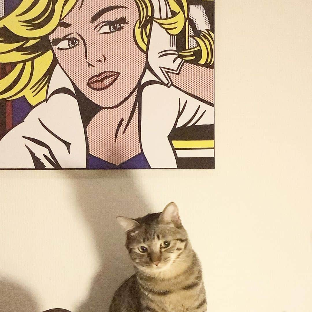 keigoさんのインスタグラム写真 - (keigoInstagram)「🐈#猫 #roylichtenstein」9月5日 4時41分 - k5fuwa