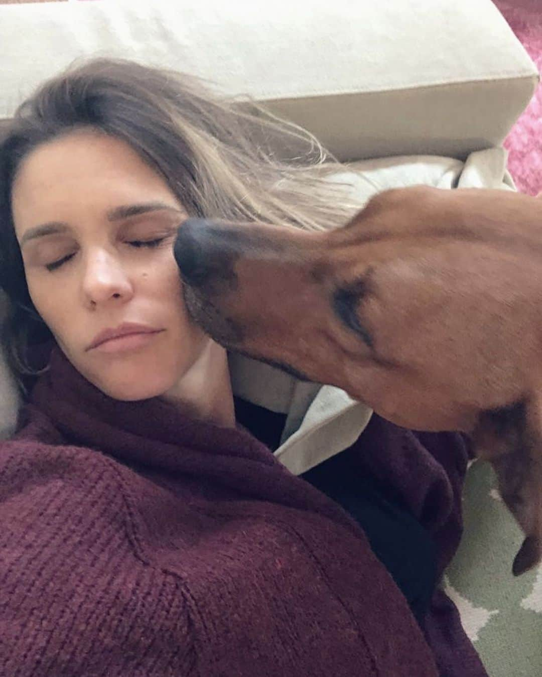 フェルナンダ・リマさんのインスタグラム写真 - (フェルナンダ・リマInstagram)「O cachorro é o melhor amigo... da mulher grávida.  A natureza é mesmo um milagre. O contato entre os animais em geral com mulheres grávidas, crianças e pessoas que gostam deles é imediato. Companheirismo , carinho,sensibilidade, proteção... É um privilégio ter esses bichinhos por perto! Foto @rodrigohilbert  #zezo #babe #noforninho #ganhandopeso」9月5日 5時32分 - fernandalima