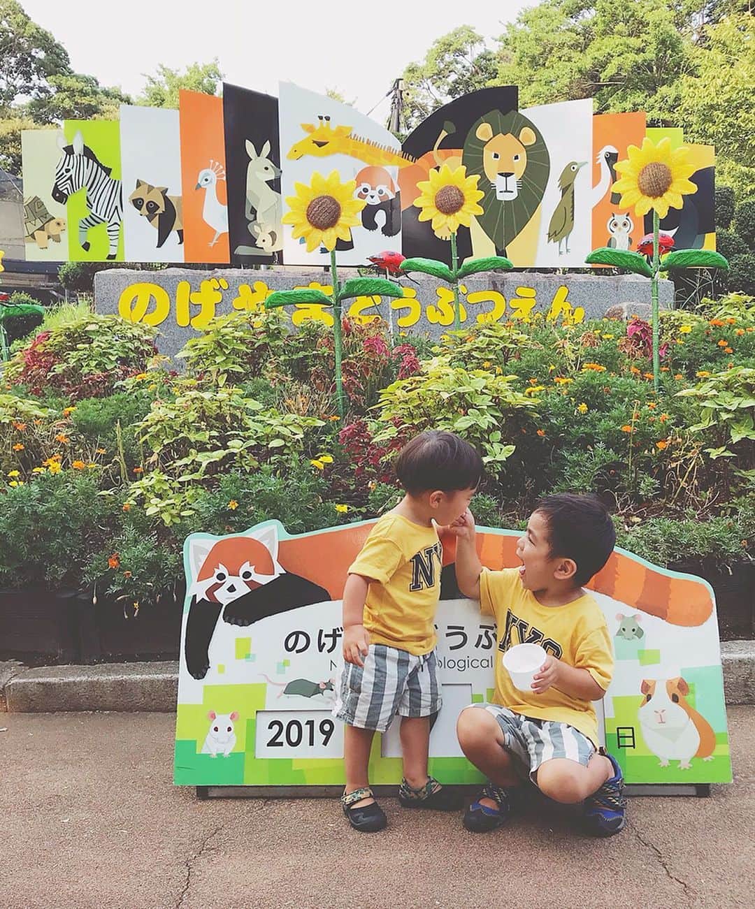 齋藤美波のインスタグラム：「🐆🦅🦓 #のげやま動物園 ・ 先日横浜に用があり 時間ができたので 急遽小学生以来の のげやま動物園に 行ってきました🌞 ・ やっと連れて行って楽しんでる姿見れて 連れてきてよかった〜と思える日が 来た！笑 なぜかって。 ・ 武玄が小さい時はどこ連れてっても 基本無反応🤣 #車以外は 興味なさそーって感じなので 結果大人が楽しんで帰るみたいな事が たくさんで、、、笑 そんな武玄ももーすぐ4歳！ 色んなことに興味を持ち始め とてもいい反応してくれるようになったから やっと連れて気概がある😊 そして然くんは既に 好奇心旺盛BOYなので 2人のバランスがとてもいい😄 ・ 色んなとこ連れってあげたいな〜 って更に思うようになった！ パパママ頑張るね💴💪🏾💪🏾←現実w ・ モルモットが可愛すぎて 飼いたくなった♥️ 然くんもずっとぎゅーぎゅーしてて 可愛かったなあ🥰 改めて子供が楽しんでる姿 喜んでる姿見てる時がいっちばん 幸せ感じるなぁと。 ・ ありがとう♥️と 言いたくなった😌 ・ 次はライオンさんBus乗りに サファリパーク行きたい🦁🚌 ・ ・ ………………………………………………… #動物園#家族#休日#兄弟#男の子兄弟#2歳差#1歳半#3歳#男の子ママ#モルモット#zoo#holday#happy#brothers#family」