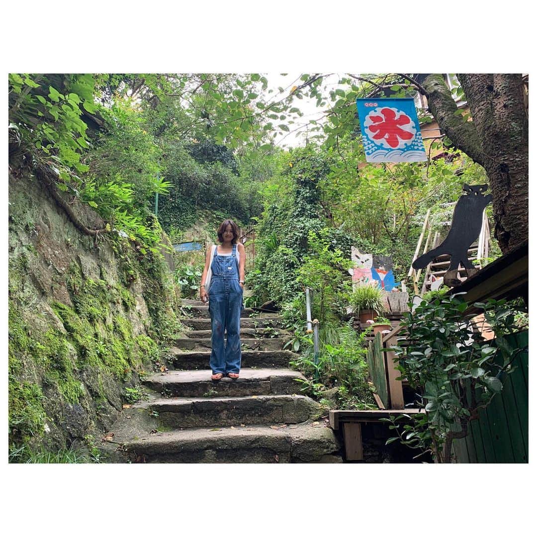 李ヒャンさんのインスタグラム写真 - (李ヒャンInstagram)「初広島。 尾道からスタート。 千光寺からノスタルジックな坂道を下り、途中暑さをしのぐために古民家カフェで休憩。 猫の細道とも言われているらしく、猫ちゃんに沢山遭遇。 下り終わって艮神社で参拝。 神木の迫力が凄過ぎる。 帰りはまた坂道を登る体力はないためロープウェイで戻りました。 スタートから大満足😊✌️ #trip #travel #travelgram #onomichi #しまなみ海道 #尾道 #猫の細道」9月5日 8時12分 - 73hyang