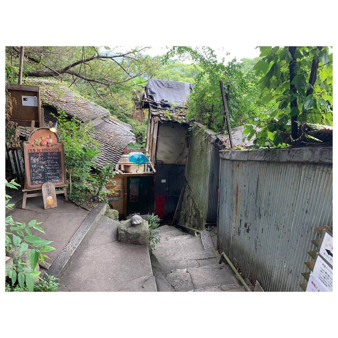李ヒャンさんのインスタグラム写真 - (李ヒャンInstagram)「初広島。 尾道からスタート。 千光寺からノスタルジックな坂道を下り、途中暑さをしのぐために古民家カフェで休憩。 猫の細道とも言われているらしく、猫ちゃんに沢山遭遇。 下り終わって艮神社で参拝。 神木の迫力が凄過ぎる。 帰りはまた坂道を登る体力はないためロープウェイで戻りました。 スタートから大満足😊✌️ #trip #travel #travelgram #onomichi #しまなみ海道 #尾道 #猫の細道」9月5日 8時12分 - 73hyang