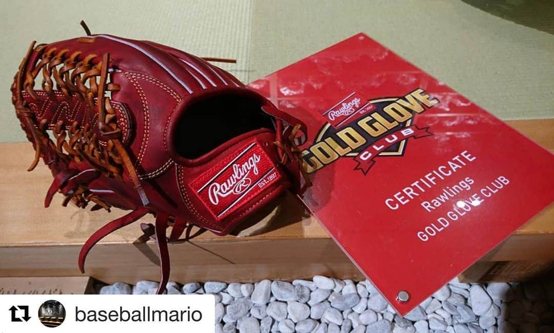 Rawlings Japanさんのインスタグラム写真 - (Rawlings JapanInstagram)「#Repost @baseballmario with @get_repost ・・・ … #Rawlings #ローリングス #RGGC #硬式グラブ  #手揉みオイル型付け  外野手用グラブ シェリーと赤オレ THE左投げ用の型と 指長めのガバッと行く右投げ用 ・ ・ ・ #ちょっとずつ猛進 #ベースボールマリオ #下北沢 #スポーツマリオ #グラブブルペン #野球専門店 #東京野球専門店 #野球 #ソフトボール #知好楽面 @rawlings_japan_llc」9月5日 8時58分 - rawlings_japan_llc