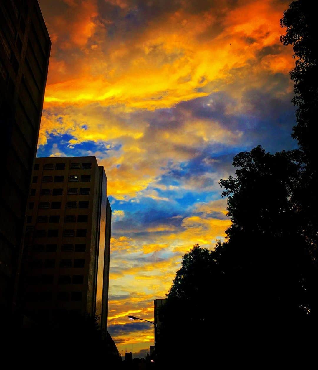 羽原信義さんのインスタグラム写真 - (羽原信義Instagram)「都会の夕焼けも、なかなか捨てたもんじゃない。」9月5日 9時01分 - nobuyoshi_habara