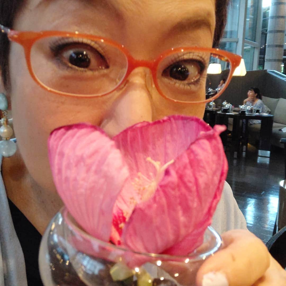 菊田あや子さんのインスタグラム写真 - (菊田あや子Instagram)「エディブルフラワー🌺 食べられるお花❤️at hotel peper flowerに見える程に繊細な花弁 いいの～食べちゃって⁉️どうぞどうぞ、て。 かじってみたら🥬レタスみたいな、 少しbitterな初めてのお味！めちゃ薄～い花びら、 美的過ぎて食べるより愛でるに適すかなぁ🌺👌 #菊田あや子#グルメリポーター#テレ朝スーパーjチャンネル木曜特集#19日に戸越銀座オンエア#食育講演会#2月は日光で講演会 #認知症サポーター#母はまだまだ元気いっぱい#母と娘の8年間の愛の絆#沢山聴いて下さいね」9月5日 9時59分 - ako.ayakokikuta