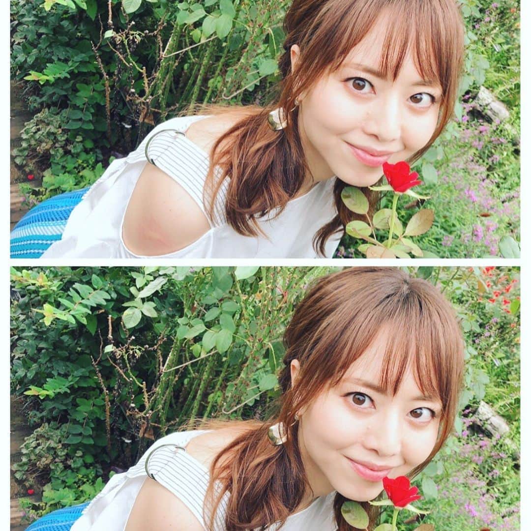 吉沢明歩さんのインスタグラム写真 - (吉沢明歩Instagram)「🌹🌹｡⋆︎·̩͙⿻gooϑ✩︎mơяñΐng⿻·̩͙⋆︎。🌹🌹 #あっきー散歩#9月#イングリッシュガーデン#薔薇#吉沢明歩」9月5日 10時20分 - akiho__yoshi
