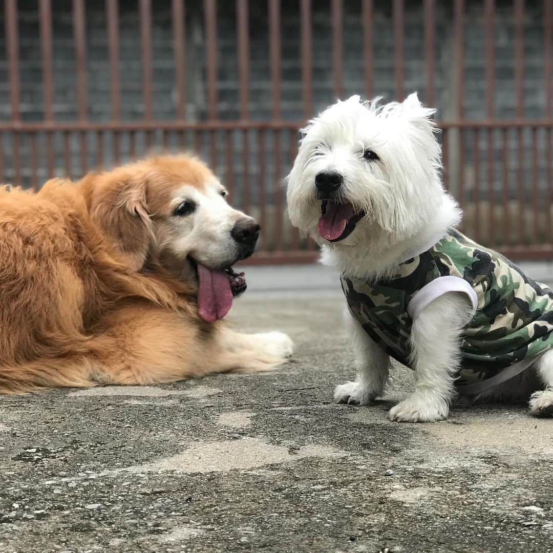 Hoykong&Plamuekのインスタグラム：「Good morning!! #hkpm」