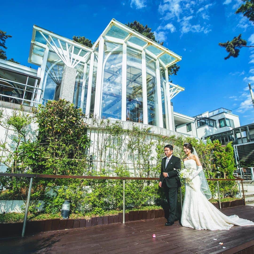 指帆亭のグルメインスタ