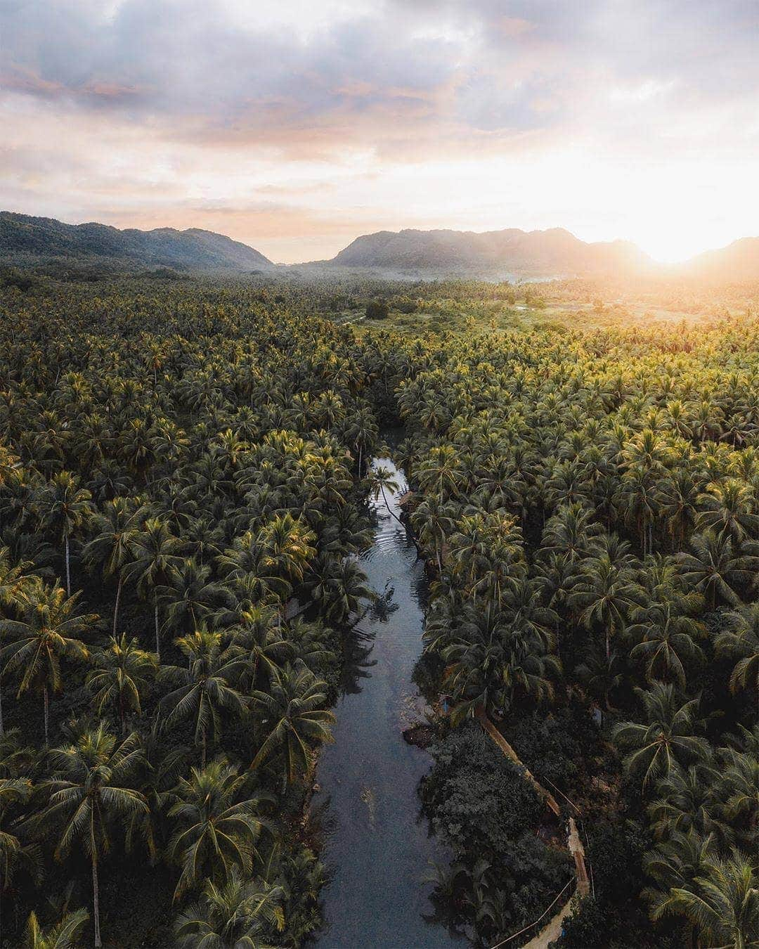 BEAUTIFUL DESTINATIONSさんのインスタグラム写真 - (BEAUTIFUL DESTINATIONSInstagram)「Catching the sun over a valley of palm trees. 🌴Siargao Island is a adventurer's dream. Have you had the chance to explore? #BeautifulDestinations (📷: @kylevollaers 📍: Siargao Island, Philippines)」9月5日 21時01分 - beautifuldestinations