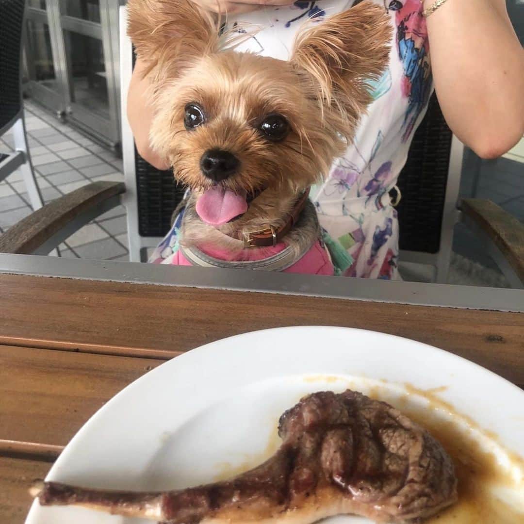 Rubyのグルメインスタ