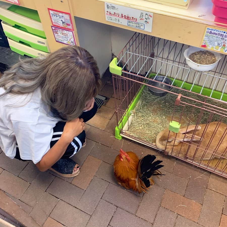 犬嶋英沙さんのインスタグラム写真 - (犬嶋英沙Instagram)「🐾 ㅤ 動物ってほんまに癒されますな〜🥰 今日はずっと見てみたかったピラニアとずっと 体験してみたかったドクターフィッシュに会えて 嬉しかった＆ニワトリが好きな動物ランキングトップ５ に入って、ソルビンが美味しかった川崎dayでした！ ㅤ ㅤ #犬嶋のいる生活」9月5日 21時34分 - _eishachan