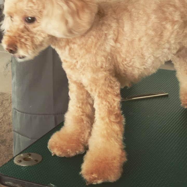 田中康夫のインスタグラム