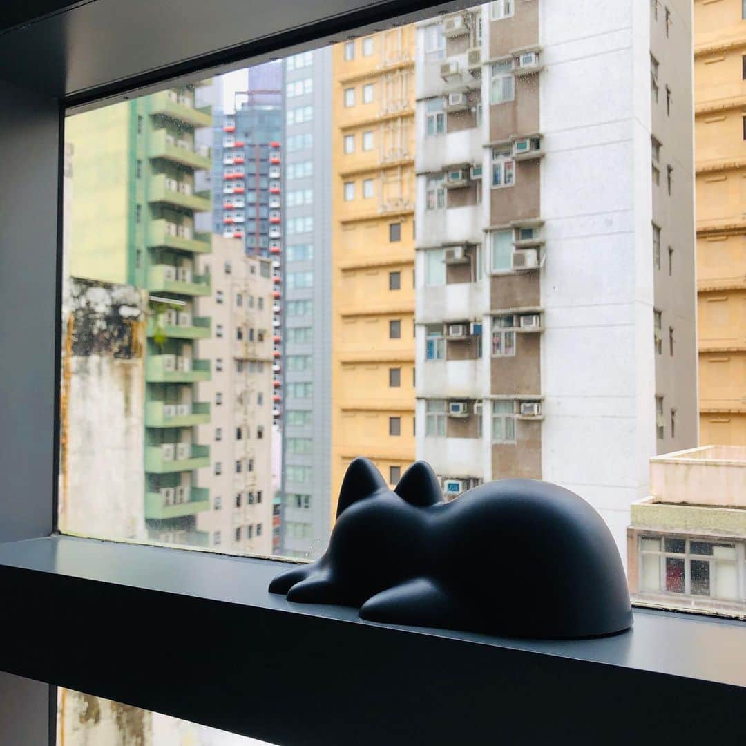 森井ユカさんのインスタグラム写真 - (森井ユカInstagram)「‪旅する無限ネコ製造器「ネコカップ」といっしょに、わたくし第2のふるさと香港に来ています！‬‬ ‪#ネコカップ #nekocup‬」9月5日 13時57分 - yukamorii