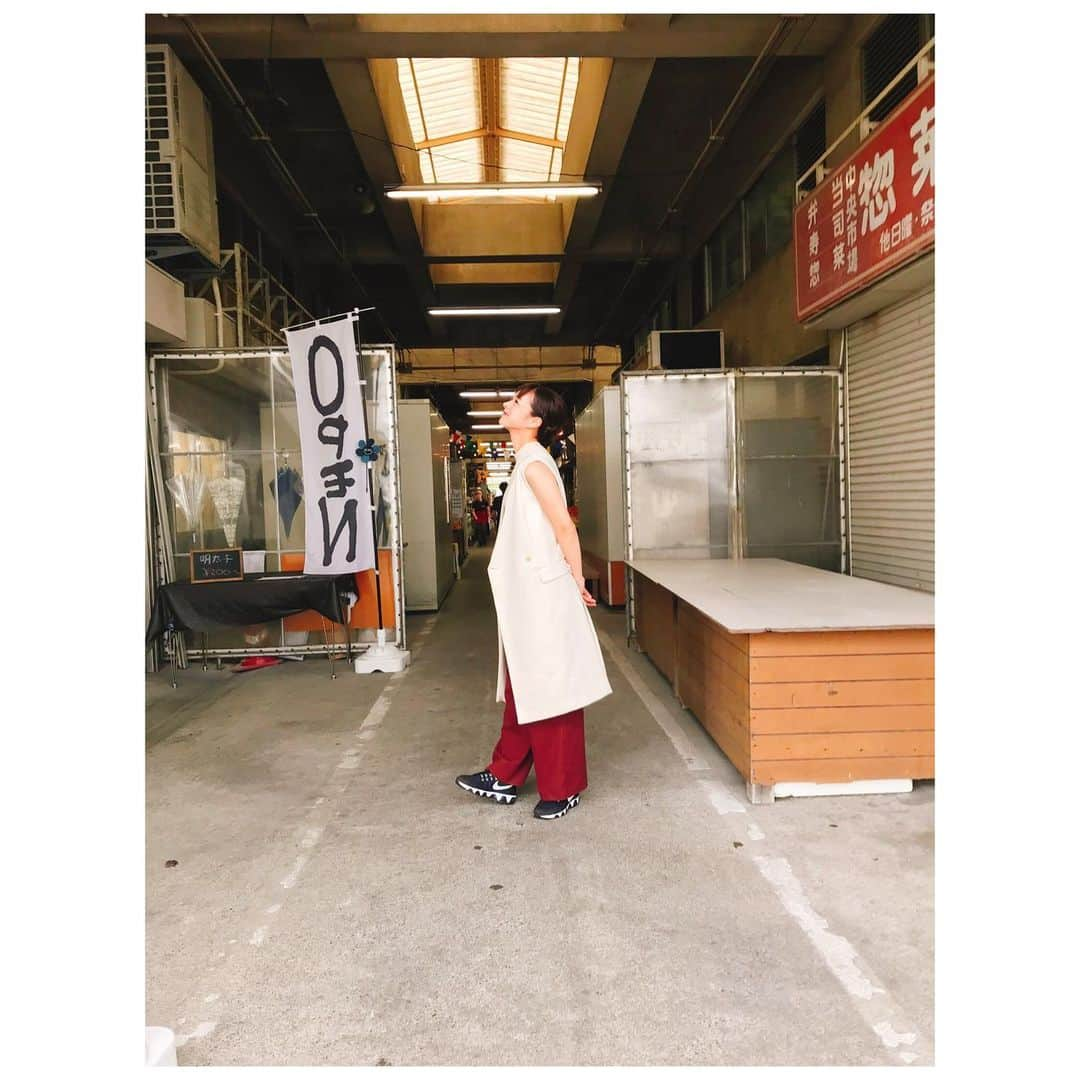 酒井瞳さんのインスタグラム写真 - (酒井瞳Instagram)「市場で雰囲気のある写真ってあるよねww って写真撮ってたらそれを撮られてて恥ずかしい写真。笑 #宮崎 #よかばん #中央卸売市場 #umk #宮崎市 #シュール #恥ずかしい #こうやって撮ってたんだ #笑」9月5日 14時40分 - s.sakaihitomi