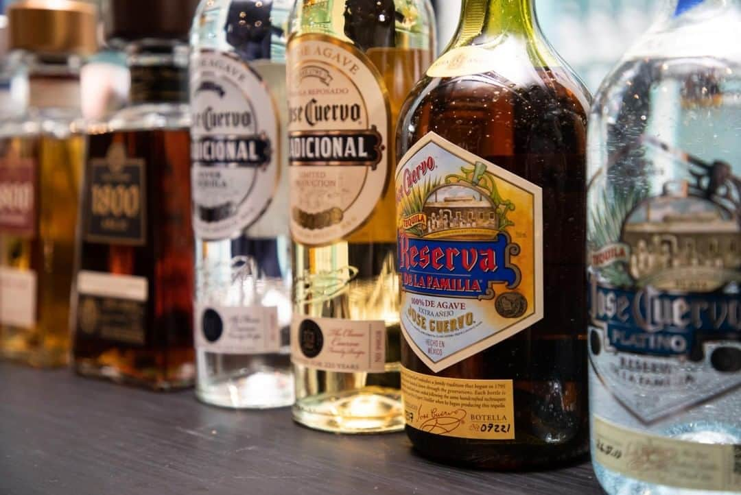 Jose Cuervo Japanのインスタグラム