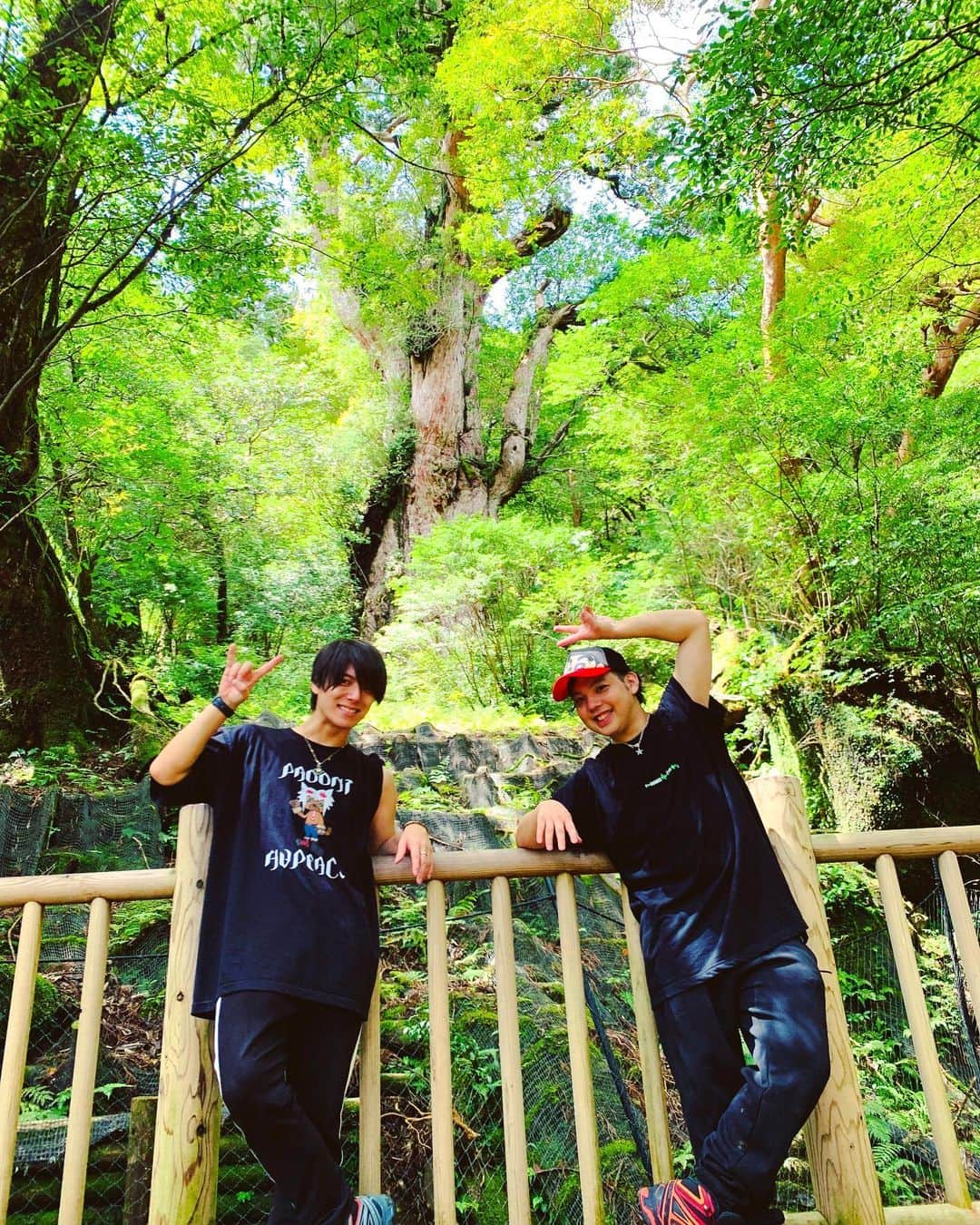 引地敬澄のインスタグラム：「令和元年9月1日。相棒のすな @suna091 と、人生初の屋久島旅にて縄文杉に行って参りました🐕⛰！！ . 合計11時間という過酷なトレッキングでしたが、大自然の素敵な景色と澄み渡る綺麗な空気が本当に最高で、終わってみればあっという間の素敵な時間でした☺️🍀 . やっとの思いで辿り着いた #縄文杉 を観た時は絶賛感動の一言でした😭😭😭！！ . まさに #ナイスぱおーに の一言です🤘😼🍀！！w (おや？二言じゃね？w) . . そして、、、改めて、、、 . すな！30歳の誕生日絶賛おめでとう🤘😼🎂！！！ . この日、9月1日がすなのリアルBirthdayでどうしても縄文杉に行きたいと言っていたので念願が無事叶って僕も嬉しかったです😂！！w . #ひきすな での活動ももっと増やしたいなーとより感じた旅でしたとさ🐕🍀 . 素敵な歳にしやがりやがれよーーー🤘😼🔥！！ . . . ps.すなの格好がひたすらポケモンマスター過ぎるの本当にやめてほしかった😂www . . . #縄文杉バースデー #HappyBirthday 🎉 #屋久島 #トレッキング #登山 #世界自然遺産 #大自然 #鹿児島  #引地敬澄 #砂川勇斗 #ひきすな #中学からの同級生 #男旅 #3150  #KinCrossWorld #SMILOOP #HAPEACE #引地髪服  #fashion #instagood #followme #amazing #photooftheday」