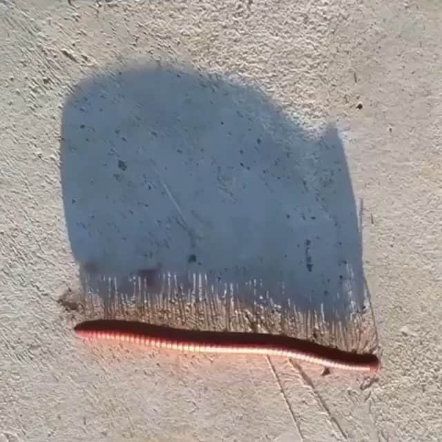 のインスタグラム：「#backtoschool」