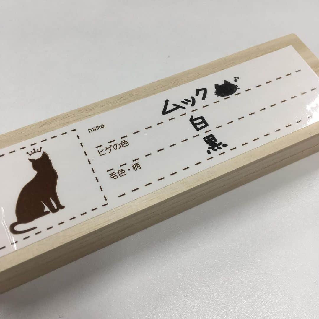 iDog&iCatさんのインスタグラム写真 - (iDog&iCatInstagram)「🐈 撫でられるとつい口も動いてしまうムックです。 気持ちよさそうにもぐもぐペロペロ... . ひと通り撫で終わったところでステキな落としものを発見✨ はじめてひげケースが活躍した日になりました。 . #idogicat #idog #icat #犬の服idog #猫 #看板猫ムック #エキゾチックショートヘア #なでなで好き #ひげケース」9月5日 16時09分 - idogicat