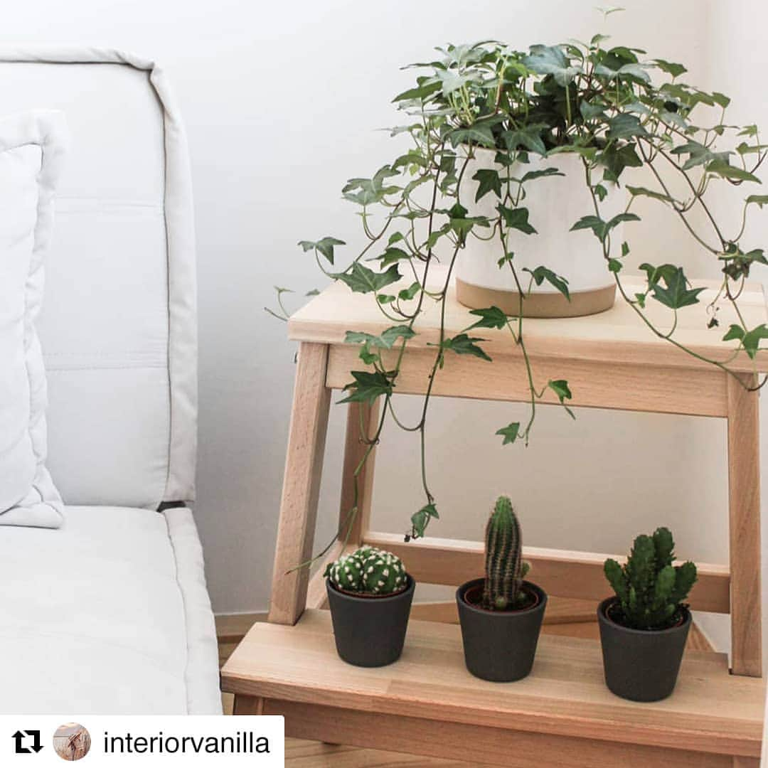 IKEA Austriaさんのインスタグラム写真 - (IKEA AustriaInstagram)「@interiorvanilla zeigt uns, was man aus einer freien Ecke zaubern kann. 🤗🌿 Zeig uns deine kreativen Ideen mit 👉🏻 #IKEAat #Regram // BEKVÄM Tritthocker, Buche, 50 cm € 11,99」9月5日 16時24分 - ikeaaustria