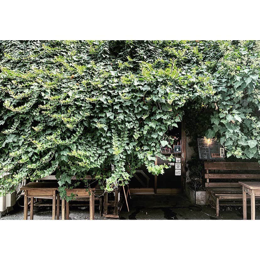 ree_mstorynのグルメインスタ